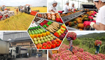 ĐẦU TƯ XUẤT KHẨU  NÔNG SẢN – PHÂN BÓN